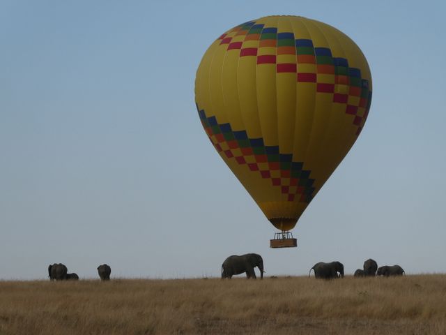Hot Air Balloon Safari at Sunrise